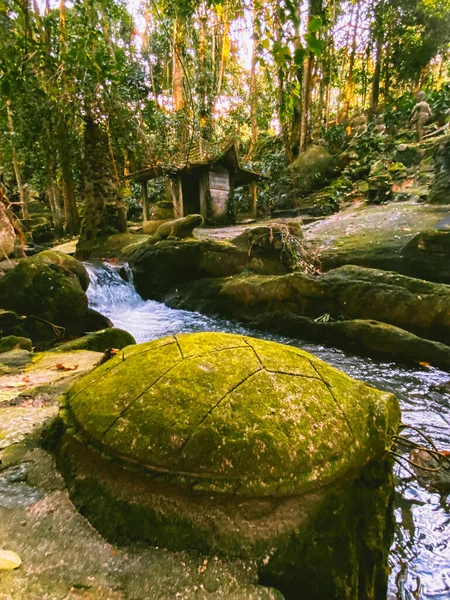 Secret Buddha Magic Garden Koh Samui Tailândia Foto Alta Qualidade — Fotografia de Stock