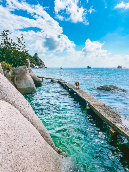Koh Tao 'daki sahil manzarası, Samui bölgesi, Tayland, Güneydoğu Asya