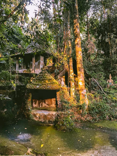 Koh Samui, Tayland 'daki Gizli Buda Sihir Bahçesi
