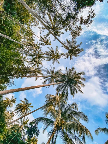 Piedra superpuesta Koh Samui en Tailandia, sudeste asiático —  Fotos de Stock