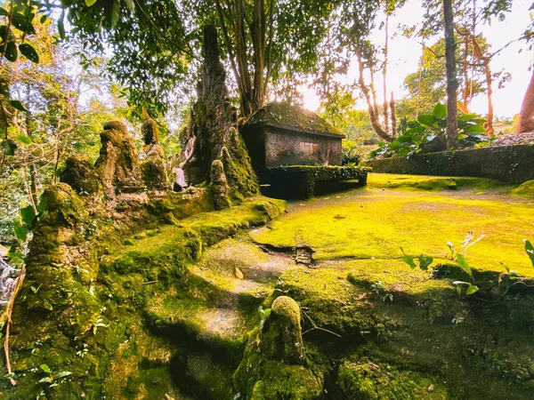 Koh Samui, Tayland 'daki Gizli Buda Sihir Bahçesi