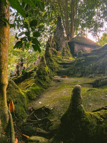 Koh Samui, Tayland 'daki Gizli Buda Sihir Bahçesi