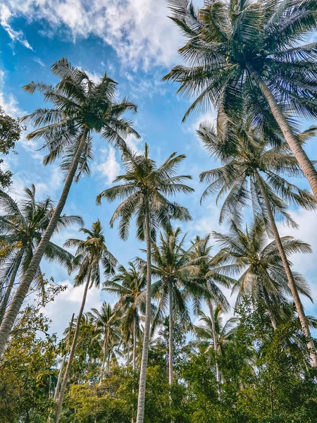 Piedra superpuesta Koh Samui en Tailandia, sudeste asiático —  Fotos de Stock