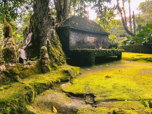Тайный волшебный сад Будды на острове Самуи, Таиланд — стоковое фото