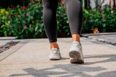 Asyalı sporcu kız dışarıda esneme, yoga ve kalas egzersizi yapıyor. Formda genç Taylandlı kadın sabah antrenman yapıyor..