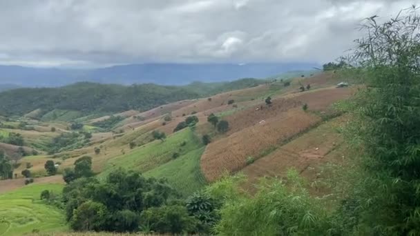 डॉई इनथॅनॉन फार्म चाईंग माई, थायलंडमधील तांदूळ टेरेसमध्ये राहणे — स्टॉक व्हिडिओ