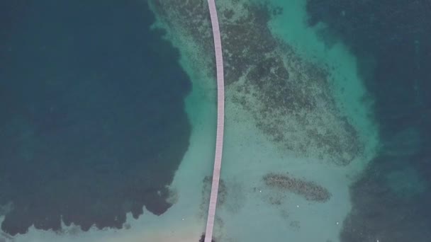 Isla Martinica y vista aérea de la playa en las islas del Caribe — Vídeos de Stock