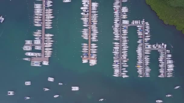 Martinica isola e spiaggia vista aerea nelle isole dei Caraibi — Video Stock