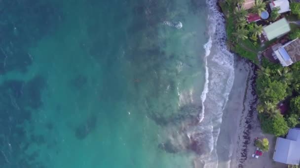 Martinik adası ve Karayip adalarındaki deniz manzarası — Stok video