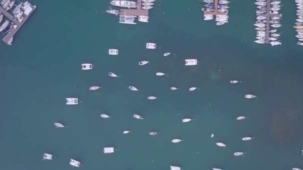 Martinica isola e spiaggia vista aerea nelle isole dei Caraibi — Video Stock