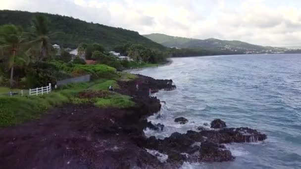 Martinica isola e spiaggia vista aerea nelle isole dei Caraibi — Video Stock