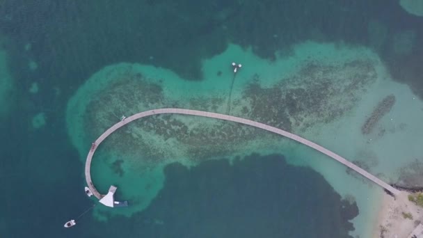 카리브해의 섬 들에 있는 마르티니크 섬 과 해변의 항공 사진 — 비디오