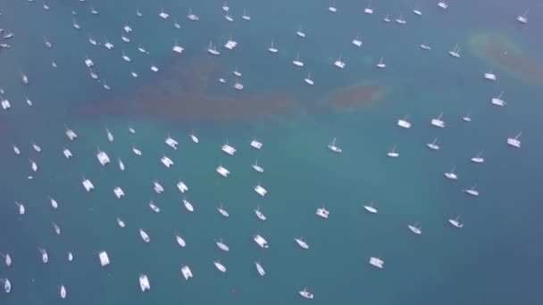 カリブ海の島々のマルティニーク島とビーチの空中ビュー — ストック動画