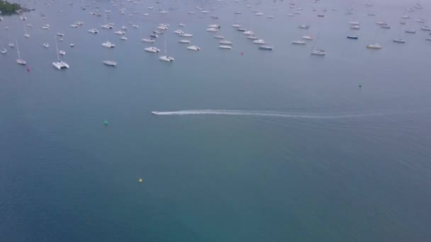 Martinica isola e spiaggia vista aerea nelle isole dei Caraibi — Video Stock