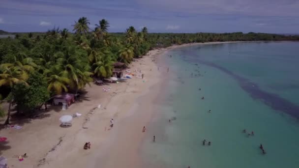 Isla Martinica y vista aérea de la playa en las islas del Caribe — Vídeos de Stock