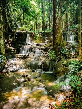 Pha Tad Şelalesi, Kanchanaburi, Tayland