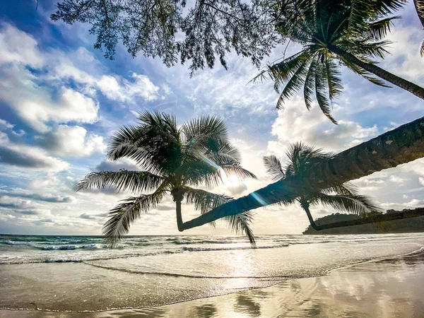 Klong Chao παραλία και το διπλό Palm Trees σε koh Kood, Trat, Ταϊλάνδη — Φωτογραφία Αρχείου