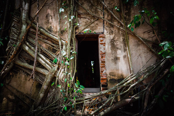 Старая статуя Будды, покрытая корнями деревьев в лагере Ват Банг Кунг, Прок Бодхи Убосот, в Самуте Сонгкхрам, Таиланд