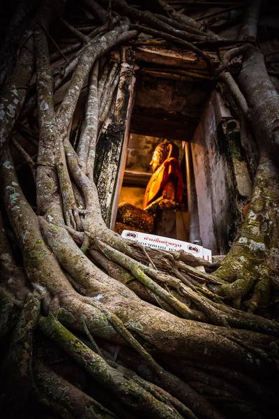 Παλιό άγαλμα του Βούδα καλυμμένο με ρίζες δέντρων στο Wat Bang Kung Camp, Prok Bodhi Ubosot, στο Samut Songkhram, Ταϊλάνδη — Φωτογραφία Αρχείου