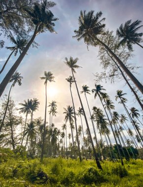 Terk Edilmiş Gemi Chalet, Grand Lagoona 'da Hayalet Gemi, Koh Chang, Trat, Tayland