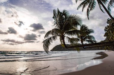 Klong Chao plajı ve Koh Kood, Trat, Tayland 'daki Double Palm Trees