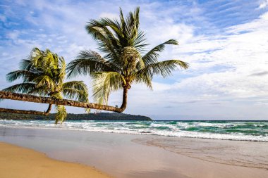 Klong Chao plajı ve Koh Kood, Trat, Tayland 'daki Double Palm Trees