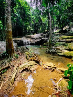 Pha Tad Şelalesi, Kanchanaburi, Tayland