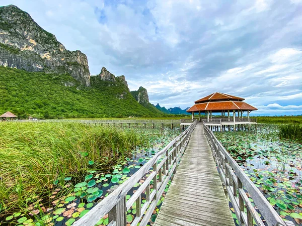 Пресноводное болото Сэм Рой Йот, прогулка по болоту, лесная тропа Буенг Буа в национальном парке Сам Рой Йот в Очуап Кхири Хан, Таиланд — стоковое фото