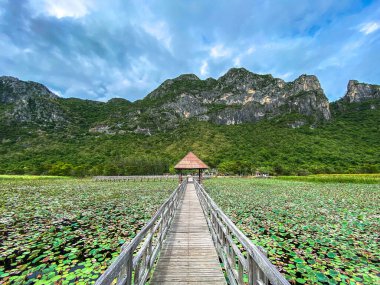 Sam Roi Yot tatlı su bataklığı, bataklığın üzerinden yürü, Bueng Bua tahta kaldırımı Sam Roi Yot milli parkı Prachuap Khiri Khan, Tayland
