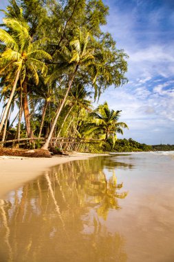Klong Chao plajı ve Koh Kood, Trat, Tayland 'daki Double Palm Trees
