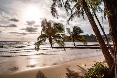 Klong Chao plajı ve Koh Kood, Trat, Tayland 'daki Double Palm Trees