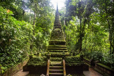 Namtok Phlio Ulusal Parkı, Chanthaburi, Tayland 'da antik pagoda ve şelale