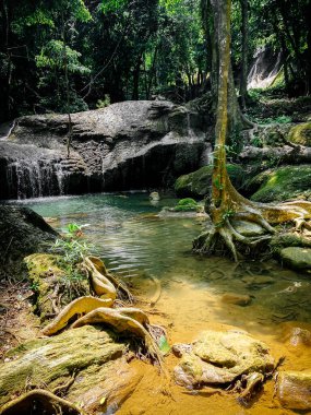 Haew Suwat Şelalesi Nakhon Ratchasima, Tayland 'daki Khao Yai Ulusal Parkı.