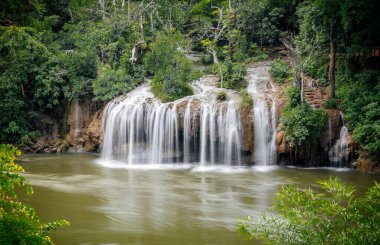 Sai Yok Yai Sai Yok Milli Parkı, Kanchanaburi, Tayland