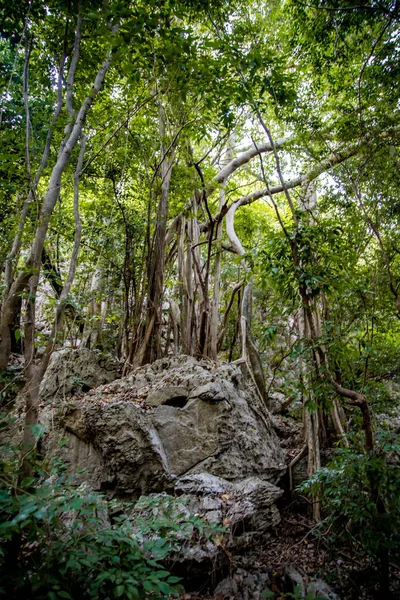 Cueva de Phraya Nakhon, templo del pabellón de Khua Kharuehat en el parque nacional de Khao Sam Roi Yot en Prachuap Khiri Khan, Tailandia —  Fotos de Stock