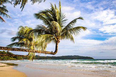 Klong Chao plajı ve Koh Kood, Trat, Tayland 'daki Double Palm Trees