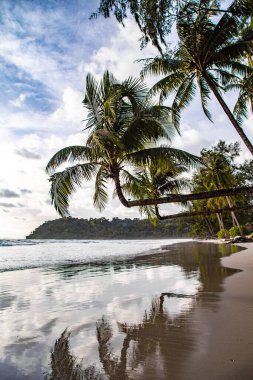 Klong Chao plajı ve Koh Kood, Trat, Tayland 'daki Double Palm Trees
