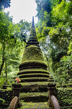 Namtok Phlio Ulusal Parkı, Chanthaburi, Tayland 'da antik pagoda ve şelale