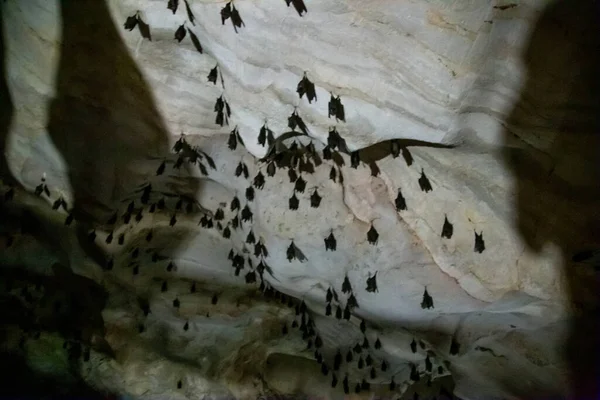 Grotta di Lawa a Kanchanaburi, Thailandia — Foto Stock