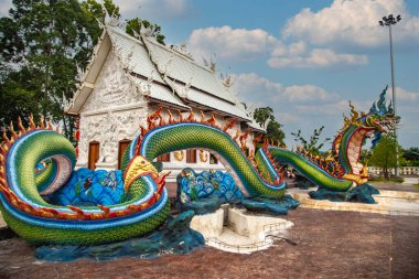 Wat Nong Chap Tao, Pattaya, Chonburi, Tayland 'daki kaplumbağa ve ejderha tapınağı.
