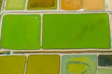 Phetchaburi Tuzu Naklua 'da daireler, çiftlikler ve çiftçiler Phetchaburi, Tayland' da tuz topluyor.