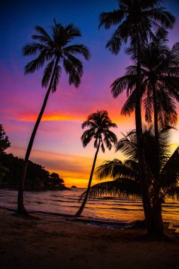 Gün batımında Klong Prao Sahili Koh Chang, Trat, Tayland