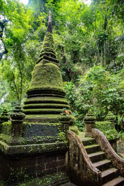 Namtok Phlio Ulusal Parkı, Chanthaburi, Tayland 'da antik pagoda ve şelale