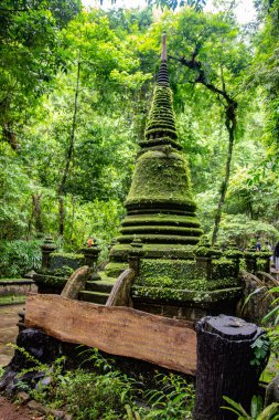 Namtok Phlio Ulusal Parkı, Chanthaburi, Tayland 'da antik pagoda ve şelale
