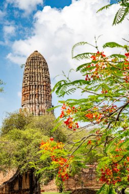 Phra Nakhon Si Ayutthaya 'daki Wat Phra Ram tapınağı, Tayland' ın tarihi şehri.