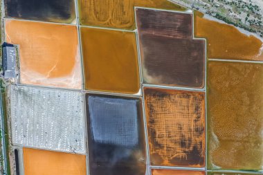 Phetchaburi Tuzu Naklua 'da daireler, çiftlikler ve çiftçiler Phetchaburi, Tayland' da tuz topluyor.