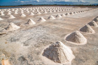 Phetchaburi Tuzu Naklua 'da daireler, çiftlikler ve çiftçiler Phetchaburi, Tayland' da tuz topluyor.