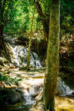Pha Tad Şelalesi, Kanchanaburi, Tayland