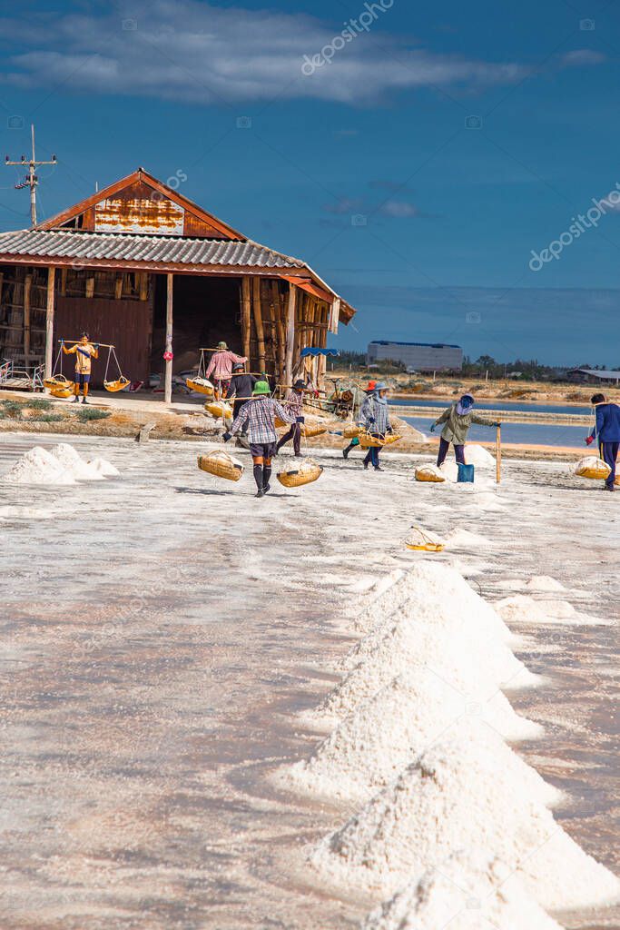 Phetchaburi Salt flats Naklua, farms and farmers collecting salt in Phetchaburi, Thailand