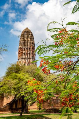 Phra Nakhon Si Ayutthaya 'daki Wat Phra Ram tapınağı, Tayland' ın tarihi şehri.